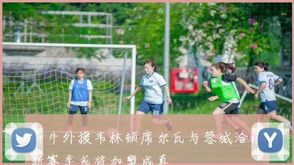 海牛外援韦林顿席尔瓦与蓉城洽谈新赛季或将加盟成真