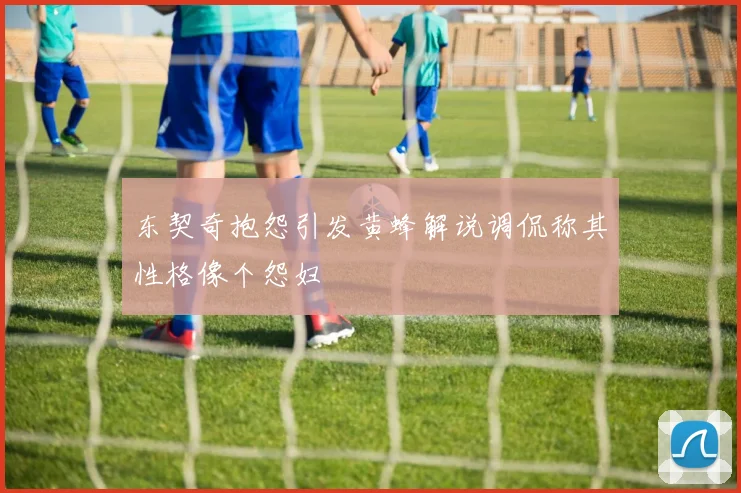东契奇抱怨引发黄蜂解说调侃称其性格像个怨妇