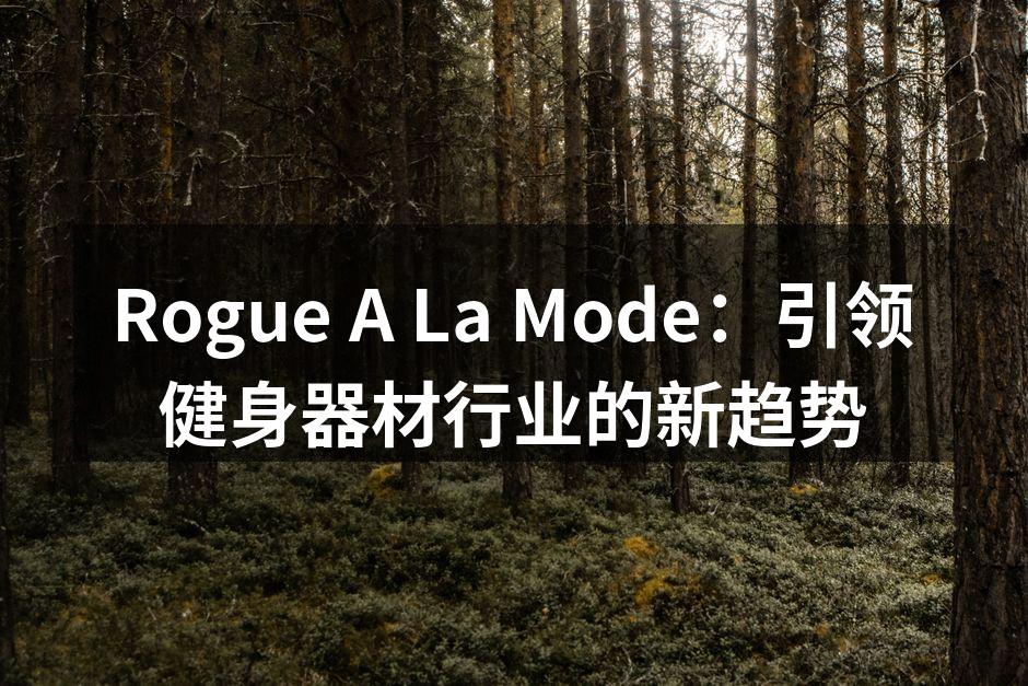 Rogue A La Mode 最新智能健身器材