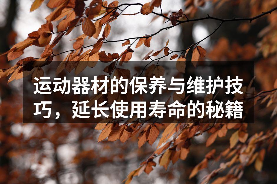 运动器材的保养与维护技巧，延长使用寿命的秘籍